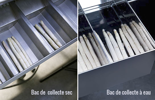 Les bacs de collecte