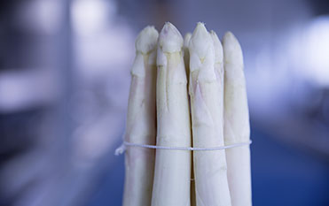 Efficient sorting of green and white asparagus